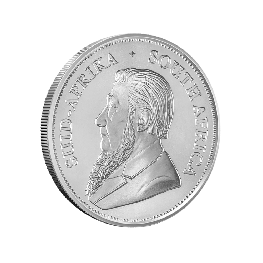 Silver Kruger Coin